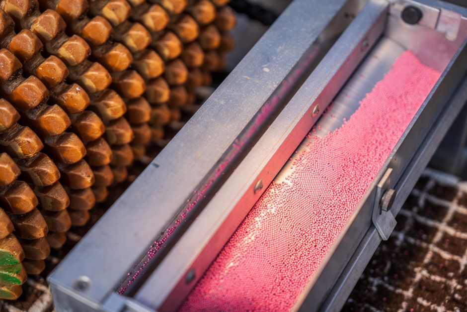 Sprinkle applicator on a confectionery production line