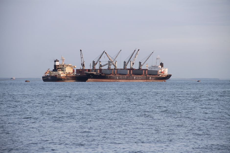 Pan Ocean stock - dry bulk carriers at anchor