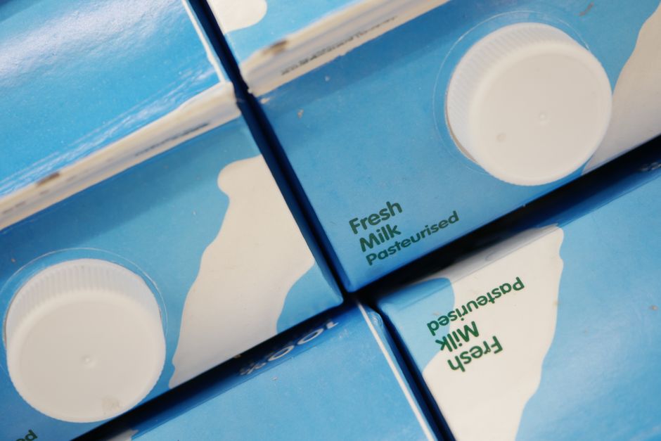 Namyang Dairy stock journal photo of white milk cartons packed side by side