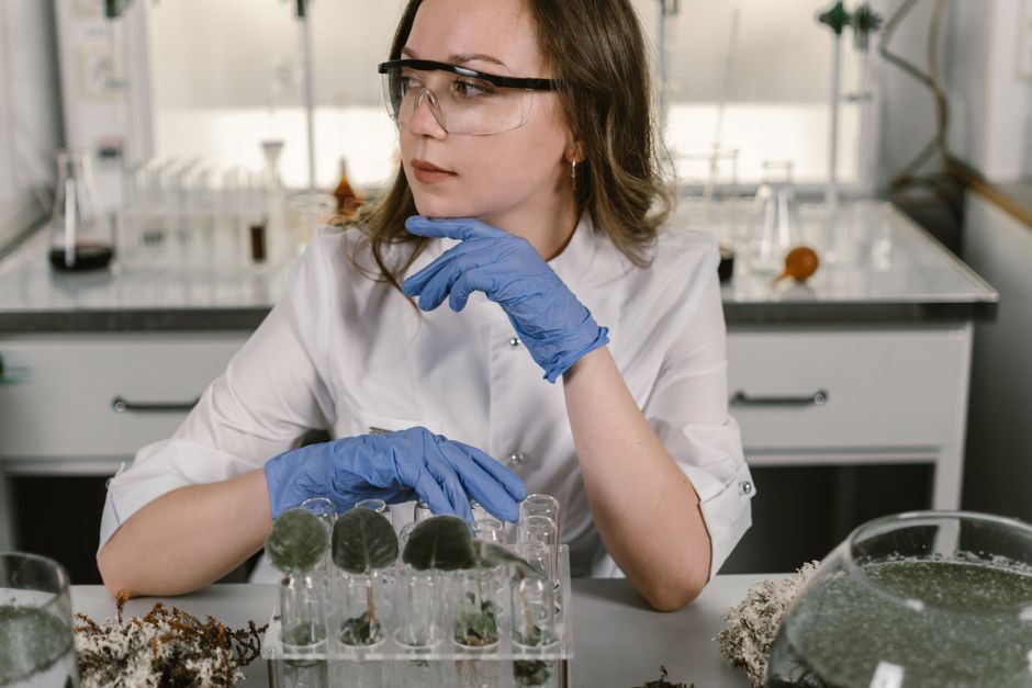 NH Nongwoo Bio stock analysis a laboratory handling plant samples